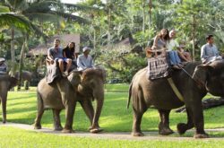 Elephant park & Safari ride